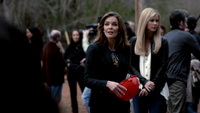 TVD317-030-Wickery Bridge Restoration-Carol~Rebekah