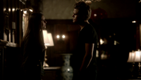 TVD306-177-Elena-Stefan