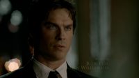 816-018-Damon