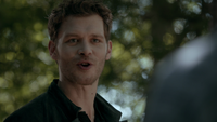 TO504-014-Klaus