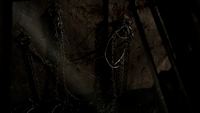 TVD301-079-Chains