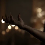 Hayley-wolf-paw.png (54 KB) Hayley's Hand