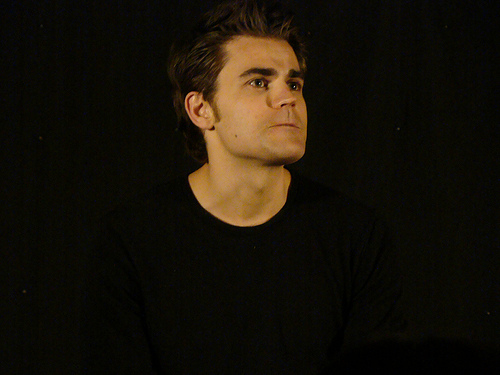 Stefan Salvatore, Wiki Vampire Diaries