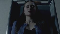 3x22 (1).jpg