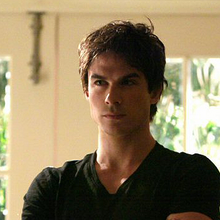 Au Nom De La Rose Salvatore - Damon Salvatore Wiki Vampire Diaries France Fandom