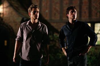 The vampire diaries 07 250x250