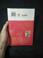 English back cover, Chuang Yi / Madman