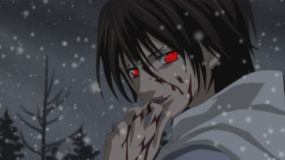 VIZ  The Official Website for Vampire Knight