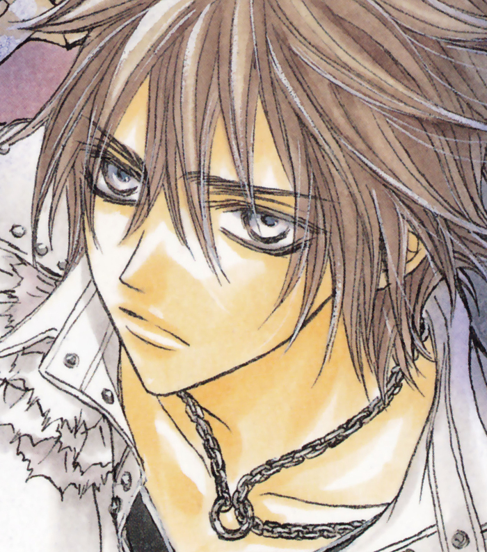 Vampire Hunter, Vampire Knight Wiki