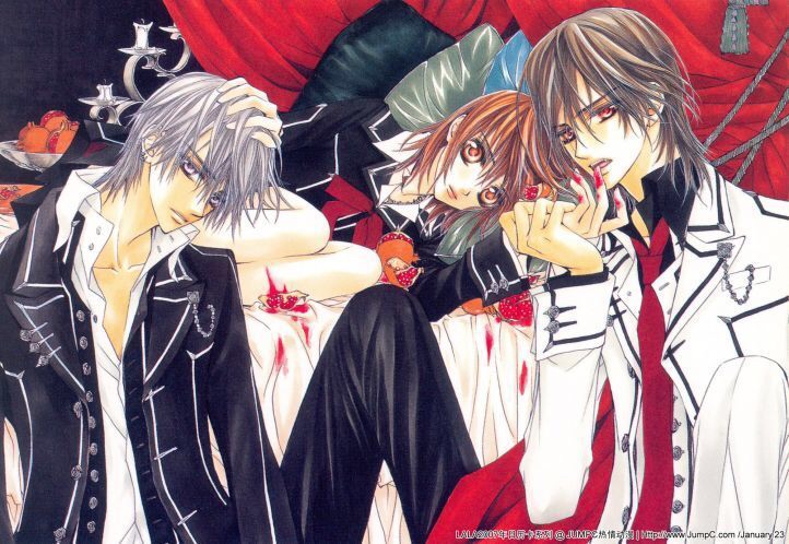 Vampire Knight The Complete Collection Includes Exclusive Anime Short
