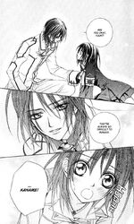 Vampire Knight Manga