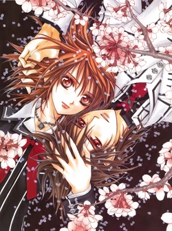 Hino Matsuri Illustration - Vampire Knight | Vampire Knight Wiki