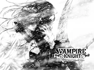 43rd Night - Vampire Knight (Viz)
