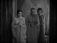 The Brides Of Dracula