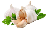 580b57fcd9996e24bc43c217