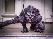 A Vampire as depicted in Lost Tapes