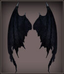 Black Devil Wings canvas