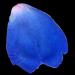 Blue Petal