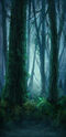 Moonlit Forest Background