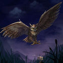 Night Owl Vision