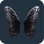 Dark Steel Butterfly Wings feed