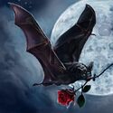 Bat Cupid
