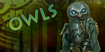 Full Metal Owl promobox