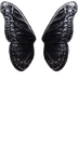 Dark Steel Butterfly Wings