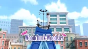 Woodchuck Woodsies