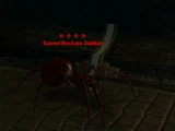 Tunnel Recluse Stalker