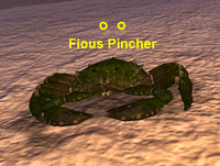 Fious Pincher