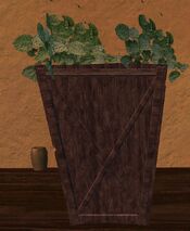 Small wooden planter with green plants