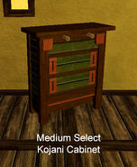 Medium Select Kojani Cabinet