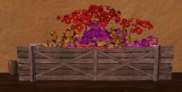 Medium red purple and yellow flower box