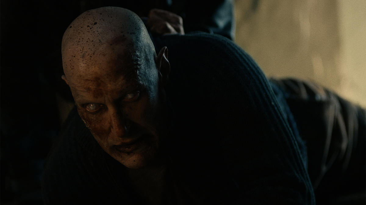 Van helsing sales sam
