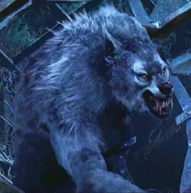 van helsing velkan werewolf