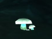 Ghost Mushroom.jpg