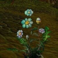 Blindweed Vanilla Wow Wiki Fandom
