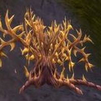 Goldthorn Vanilla Wow Wiki Fandom