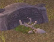 Grave Moss.jpg