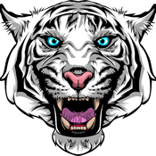 Wildcat's previous logo