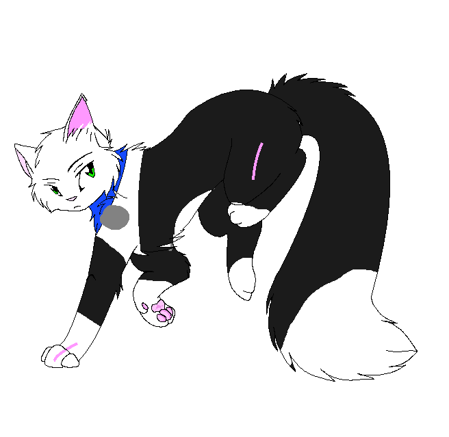 Блик | Коты воители Фанфики вики | Fandom