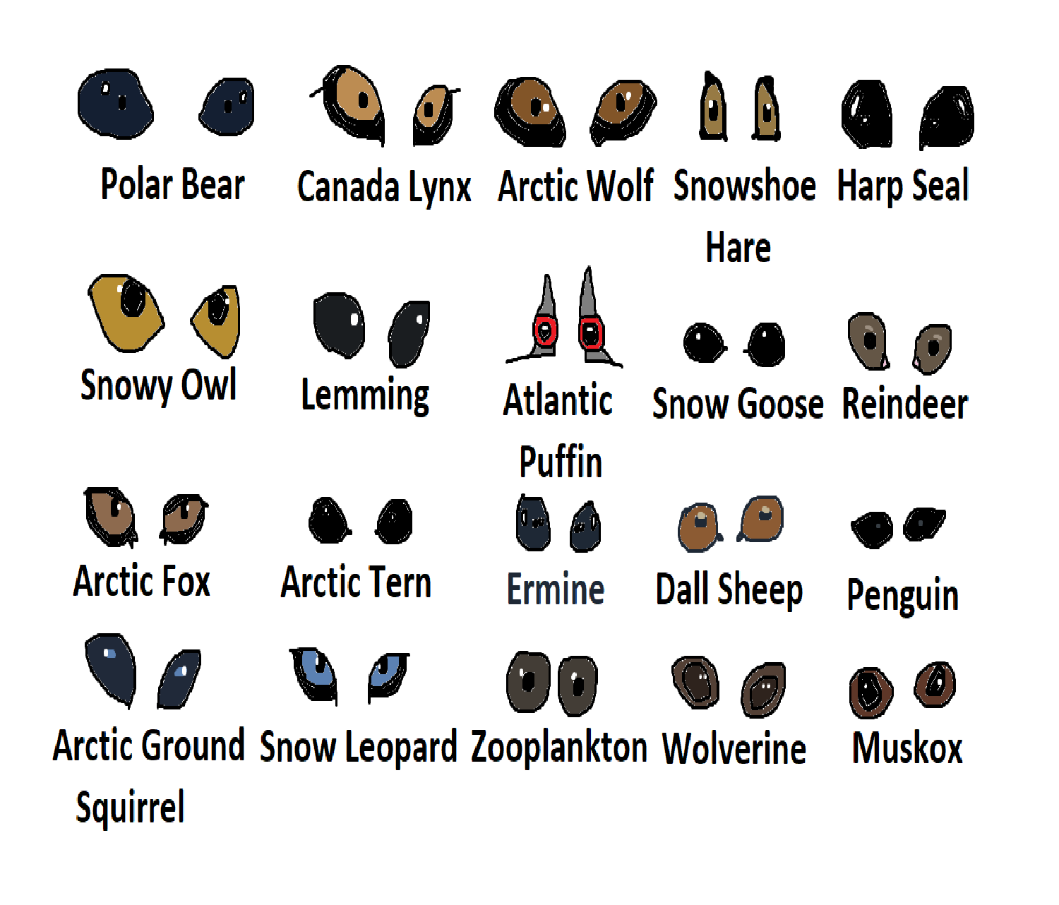 Free Vector Stock Vector Set Of Cartoon Arctic And Polar Animals Eyes Isolated On White Background Various Arctic Circle Animals Vector Stock Wiki Fandom
