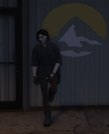 Nimda1.png