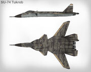 Su-74 Views