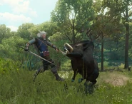 Вепрь №1.png (4,22 МБ) Бой с Вепрем в дополнении Кровь и Вино