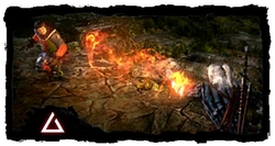 Tutorial signs ignitw2