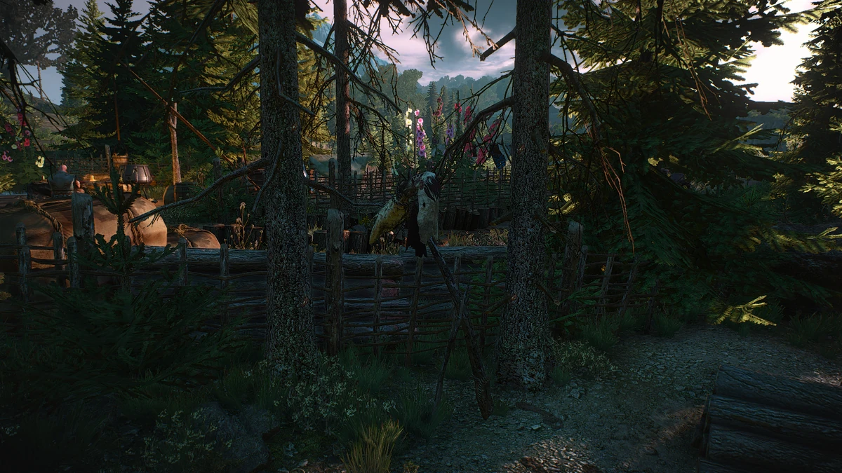 ведьмак проклятая часовня