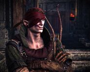 Иорвет на Военном совете в Вергене