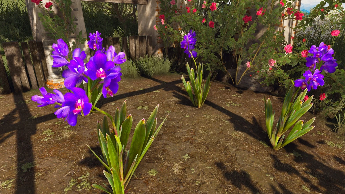 Blue Lotus Flower Witcher 3 Best Flower Site